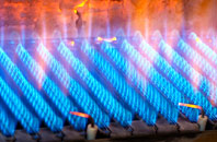 Stoke Gabriel gas fired boilers